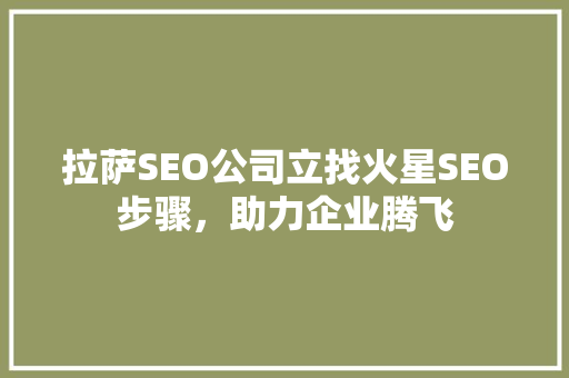 拉萨SEO公司立找火星SEO步骤，助力企业腾飞
