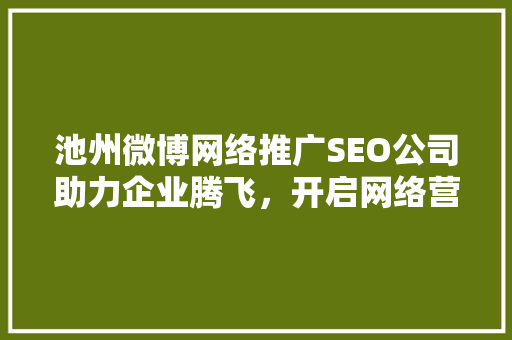 池州微博网络推广SEO公司助力企业腾飞，开启网络营销新篇章