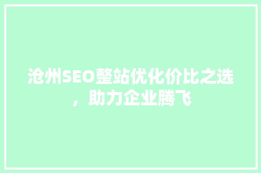 沧州SEO整站优化价比之选，助力企业腾飞