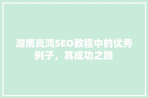 湖南岚鸿SEO教程中的优秀例子，其成功之路