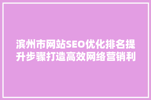 滨州市网站SEO优化排名提升步骤打造高效网络营销利器
