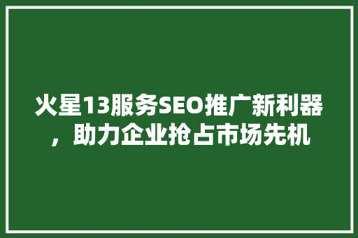 火星13服务SEO推广新利器，助力企业抢占市场先机