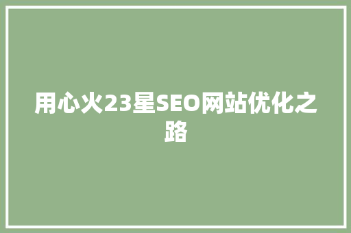 用心火23星SEO网站优化之路