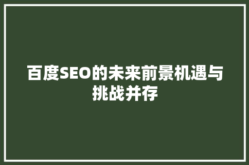 百度SEO的未来前景机遇与挑战并存