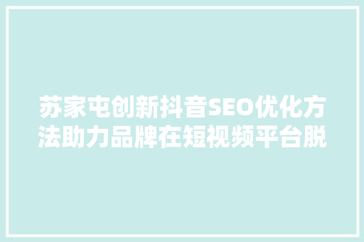 苏家屯创新抖音SEO优化方法助力品牌在短视频平台脱颖而出