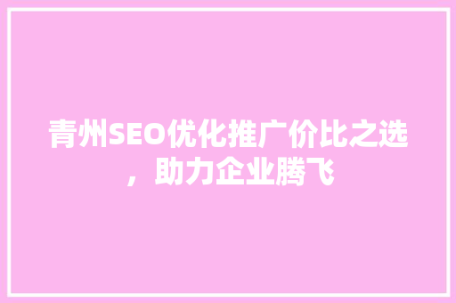 青州SEO优化推广价比之选，助力企业腾飞