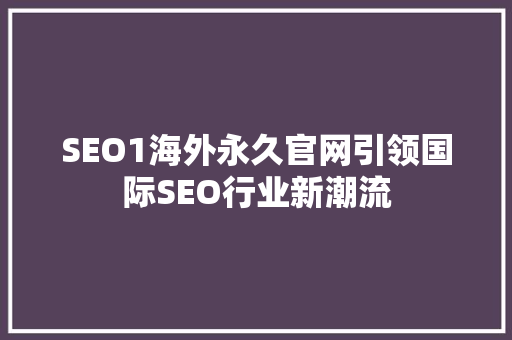 SEO1海外永久官网引领国际SEO行业新潮流