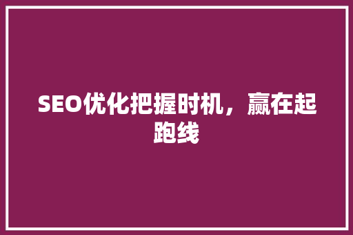 SEO优化把握时机，赢在起跑线