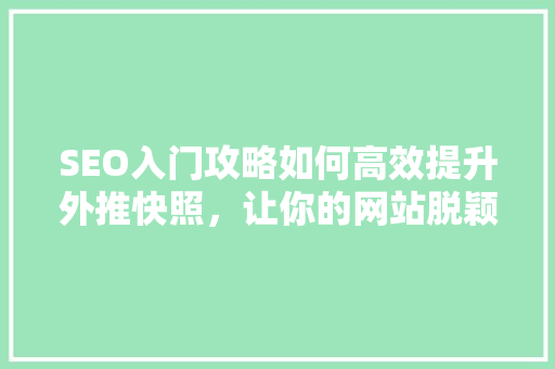 SEO入门攻略如何高效提升外推快照，让你的网站脱颖而出
