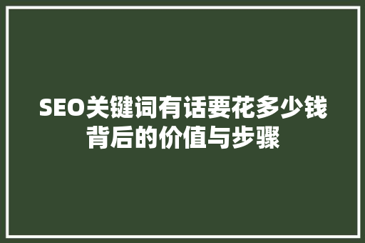 SEO关键词有话要花多少钱背后的价值与步骤