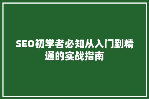 SEO初学者必知从入门到精通的实战指南