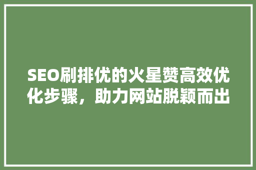 SEO刷排优的火星赞高效优化步骤，助力网站脱颖而出
