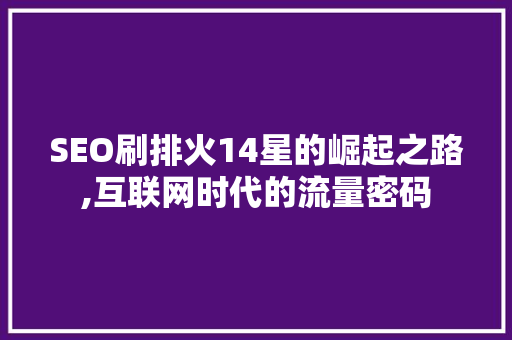 SEO刷排火14星的崛起之路,互联网时代的流量密码