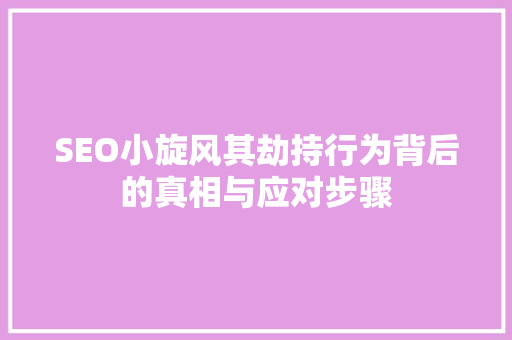 SEO小旋风其劫持行为背后的真相与应对步骤