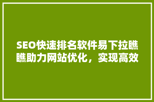 SEO快速排名软件易下拉瞧瞧助力网站优化，实现高效流量转化