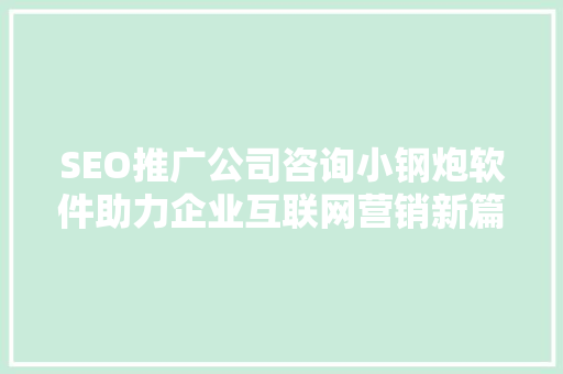SEO推广公司咨询小钢炮软件助力企业互联网营销新篇章