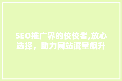 SEO推广界的佼佼者,放心选择，助力网站流量飙升