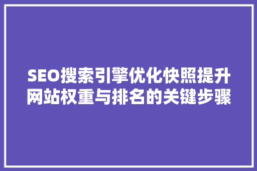 SEO搜索引擎优化快照提升网站权重与排名的关键步骤
