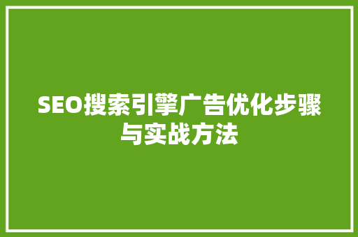 SEO搜索引擎广告优化步骤与实战方法