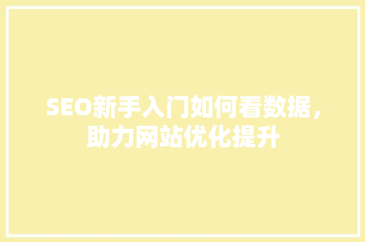 SEO新手入门如何看数据，助力网站优化提升
