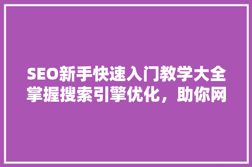 SEO新手快速入门教学大全掌握搜索引擎优化，助你网站脱颖而出