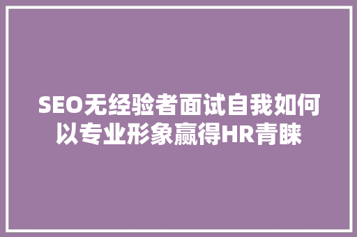 SEO无经验者面试自我如何以专业形象赢得HR青睐