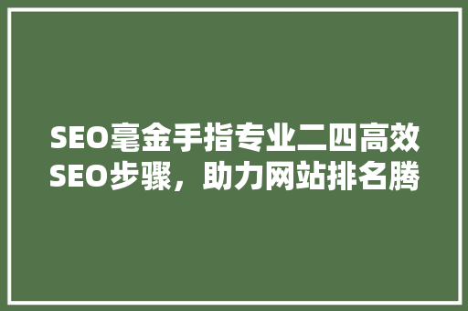 SEO毫金手指专业二四高效SEO步骤，助力网站排名腾飞