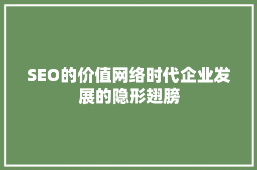 SEO的价值网络时代企业发展的隐形翅膀