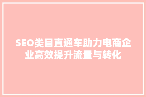 SEO类目直通车助力电商企业高效提升流量与转化