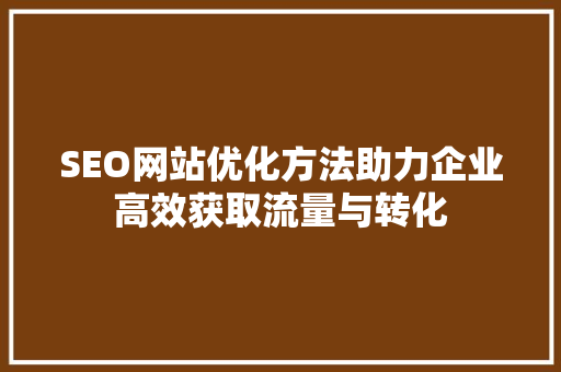 SEO网站优化方法助力企业高效获取流量与转化