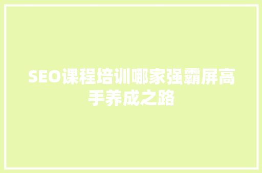SEO课程培训哪家强霸屏高手养成之路