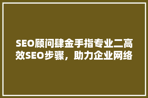 SEO顾问肆金手指专业二高效SEO步骤，助力企业网络营销