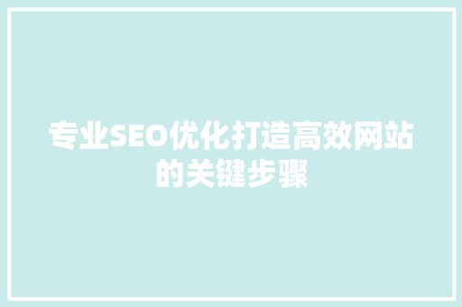 专业SEO优化打造高效网站的关键步骤
