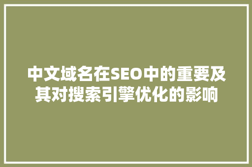 中文域名在SEO中的重要及其对搜索引擎优化的影响
