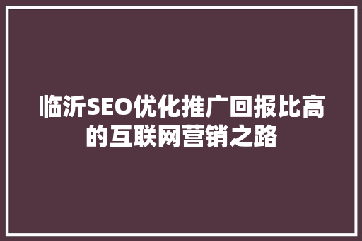 临沂SEO优化推广回报比高的互联网营销之路