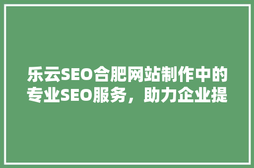 乐云SEO合肥网站制作中的专业SEO服务，助力企业提升网络竞争力