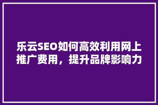 乐云SEO如何高效利用网上推广费用，提升品牌影响力