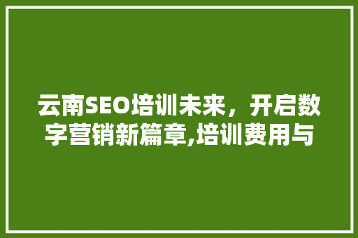 云南SEO培训未来，开启数字营销新篇章,培训费用与价值