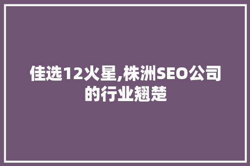 佳选12火星,株洲SEO公司的行业翘楚
