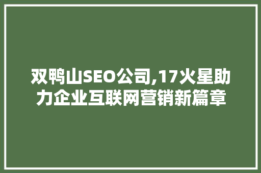 双鸭山SEO公司,17火星助力企业互联网营销新篇章