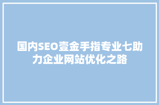 国内SEO壹金手指专业七助力企业网站优化之路