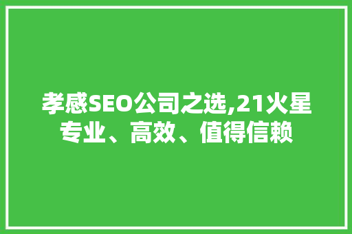 孝感SEO公司之选,21火星专业、高效、值得信赖