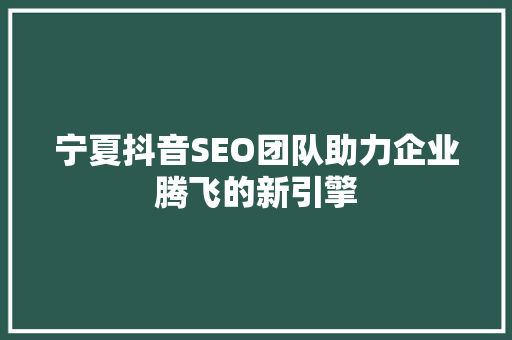 宁夏抖音SEO团队助力企业腾飞的新引擎