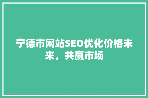 宁德市网站SEO优化价格未来，共赢市场
