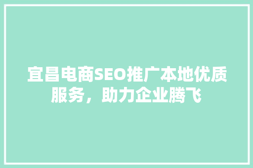 宜昌电商SEO推广本地优质服务，助力企业腾飞