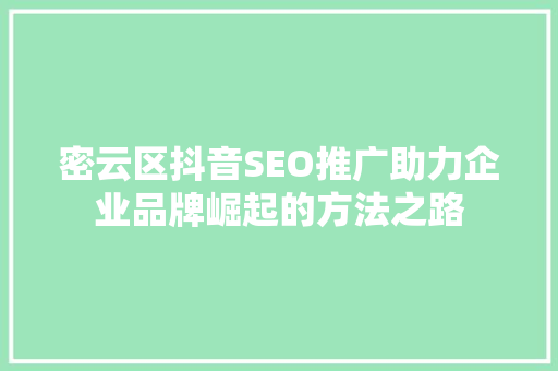 密云区抖音SEO推广助力企业品牌崛起的方法之路