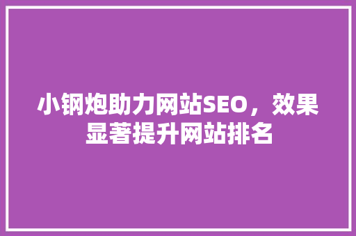 小钢炮助力网站SEO，效果显著提升网站排名