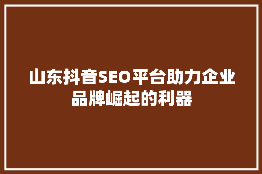 山东抖音SEO平台助力企业品牌崛起的利器