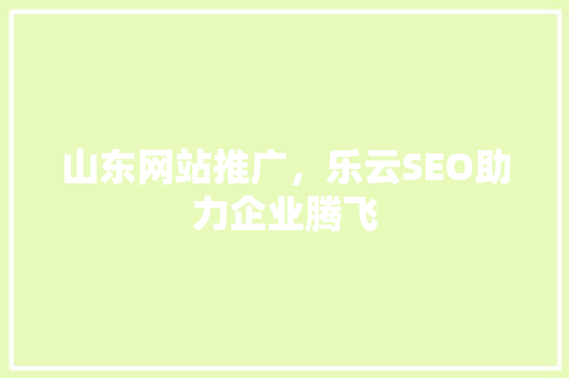 山东网站推广，乐云SEO助力企业腾飞