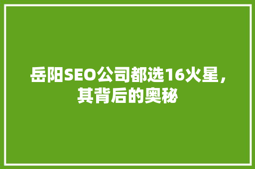 岳阳SEO公司都选16火星，其背后的奥秘